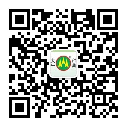909602367450020810